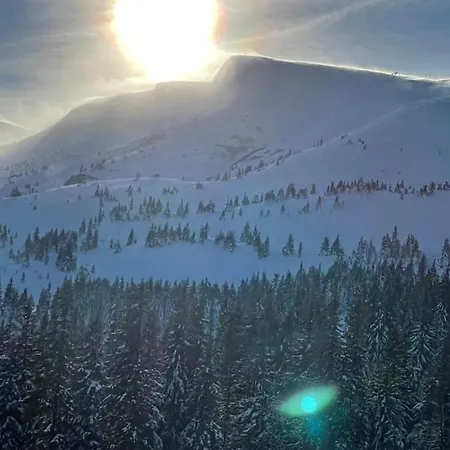 горизонт * 드라고브라트