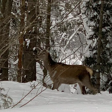 Hotel горизонт